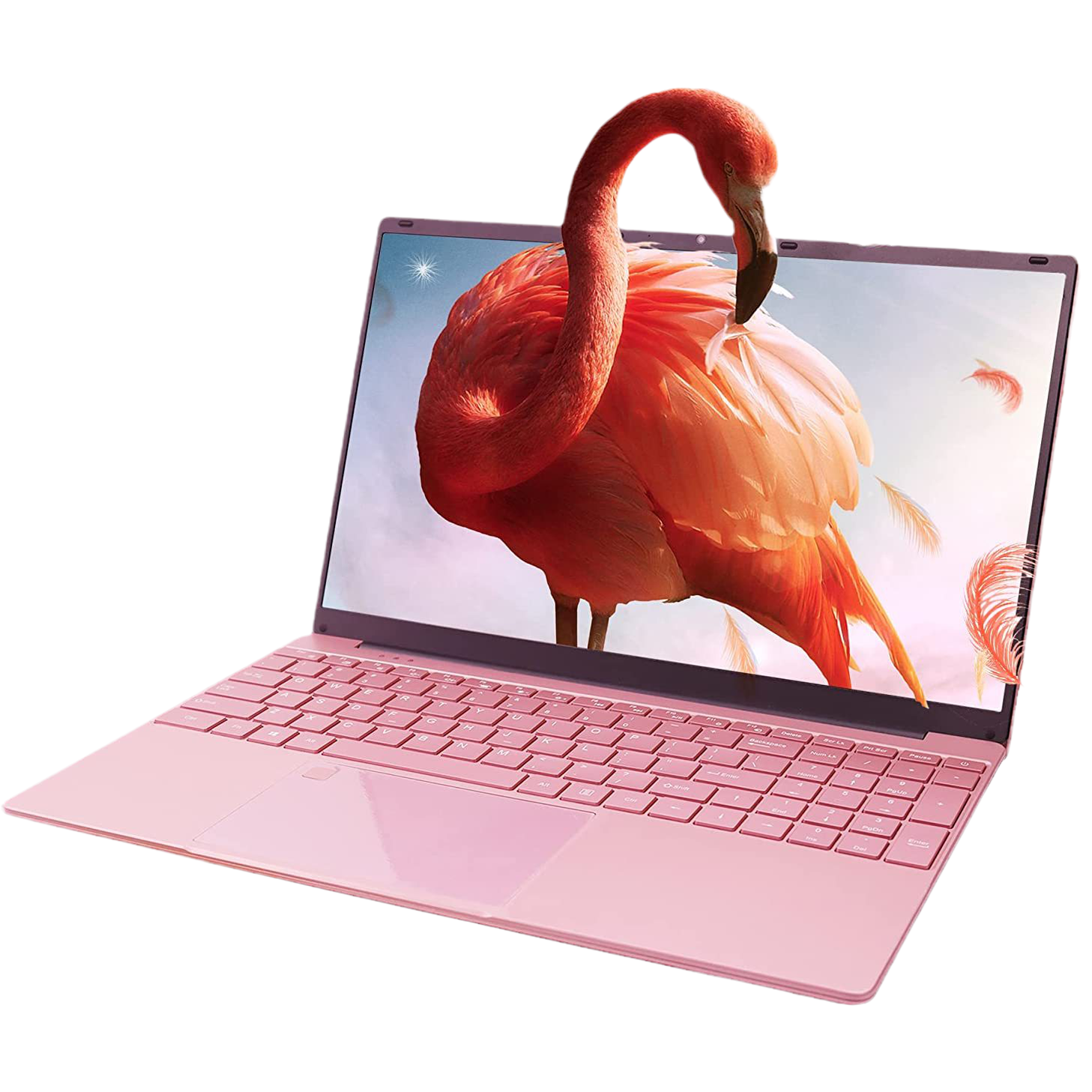Laptop – Dami3C.com